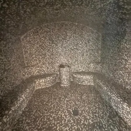 Presidentkop Lux Wellness & Kopaonik