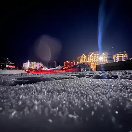 Presidentkop Lux Wellness & アパート コパオニク