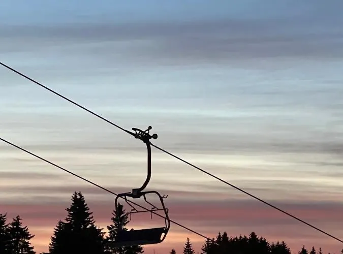 Presidentkop Lux Wellness & * Kopaonik